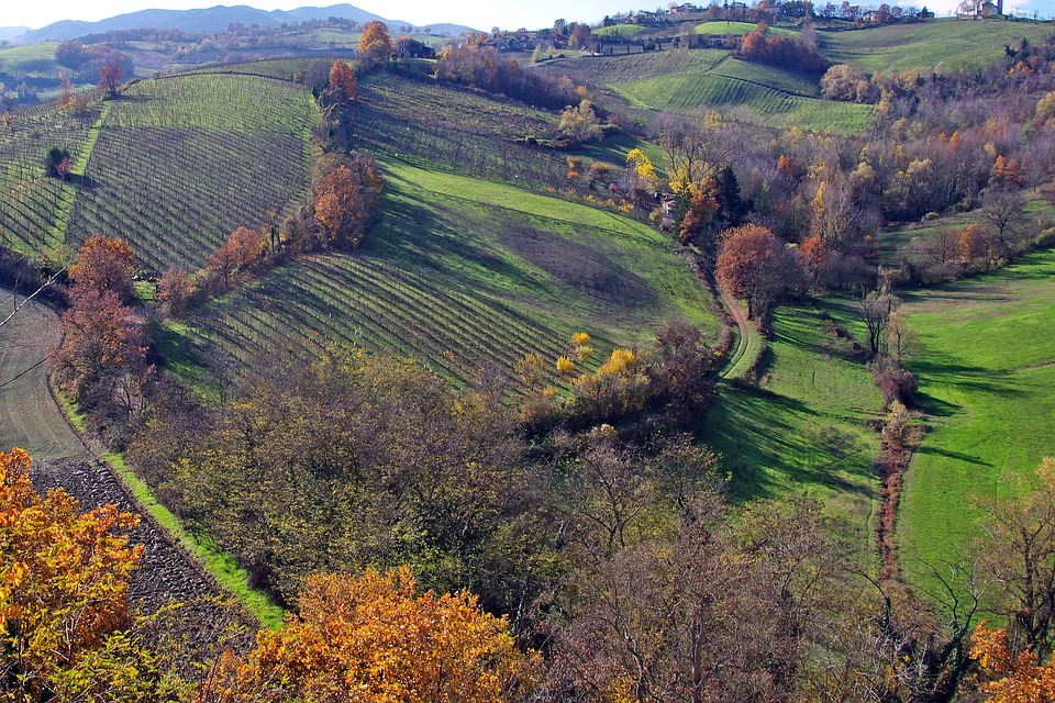 Capodanno Agriturismi in Emilia Romagna foto